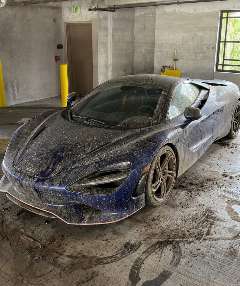 Avant lavage — véhicule très sale